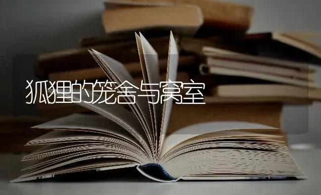 狐狸的笼舍与窝室 | 养殖技术大全