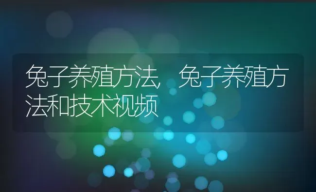 兔子养殖方法,兔子养殖方法和技术视频 | 养殖资料