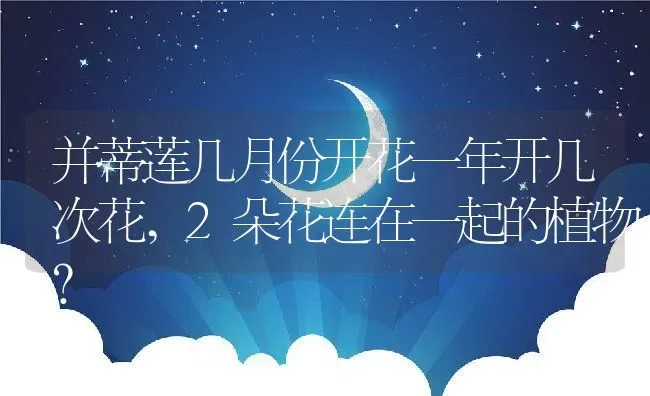 并蒂莲几月份开花一年开几次花,2朵花连在一起的植物？ | 养殖科普