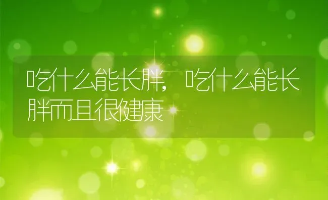 吃什么能长胖,吃什么能长胖而且很健康 | 养殖科普