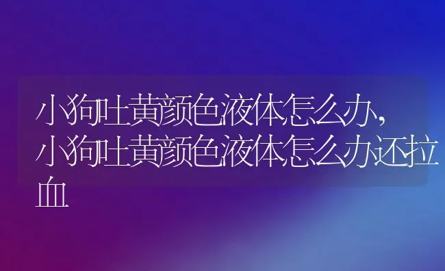 小狗吐黄颜色液体怎么办,小狗吐黄颜色液体怎么办还拉血 | 养殖资料