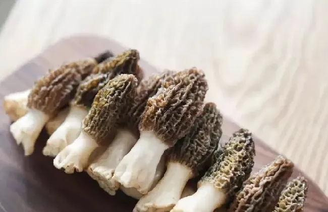 野生羊肚菌和种植羊肚菌有什么区别？什么时候上市销售 | 妙招大全