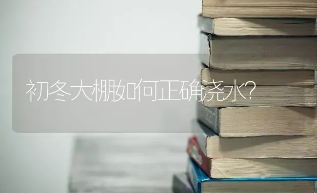 初冬大棚如何正确浇水? | 养殖技术大全