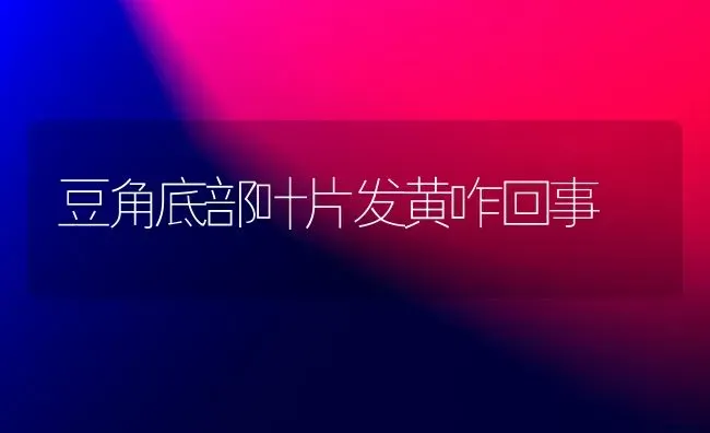 豆角底部叶片发黄咋回事 | 养殖知识