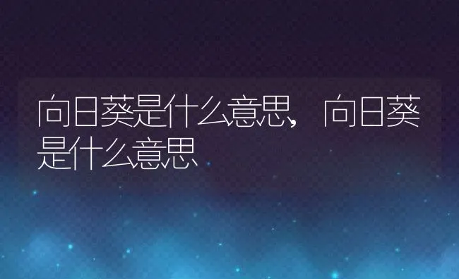 向日葵是什么意思,向日葵是什么意思 | 养殖学堂
