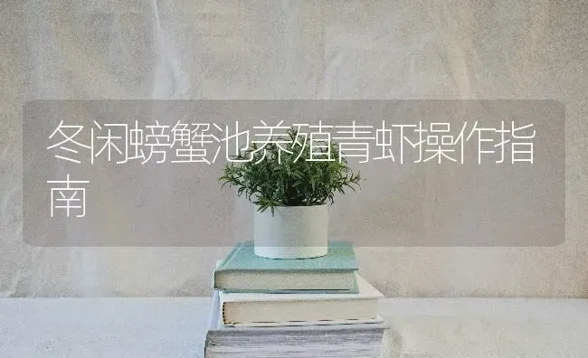 冬闲螃蟹池养殖青虾操作指南 | 养殖知识