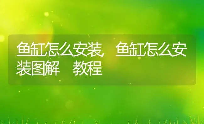 鱼缸怎么安装,鱼缸怎么安装图解 教程 | 养殖资料