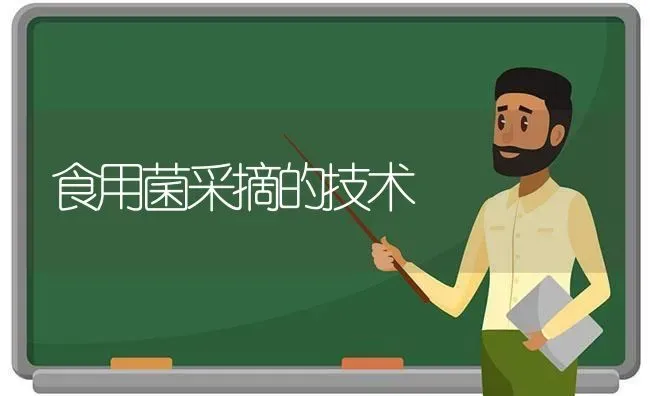 食用菌采摘的技术 | 养殖知识