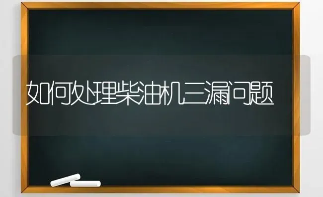 如何处理柴油机三漏问题 | 养殖知识