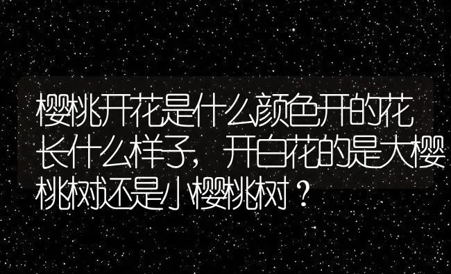 补钙的水果有哪些,什么水果含钙量最高含钙最高的10大水果？ | 养殖科普