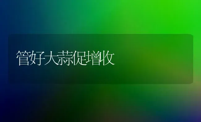 管好大蒜促增收 | 养殖技术大全