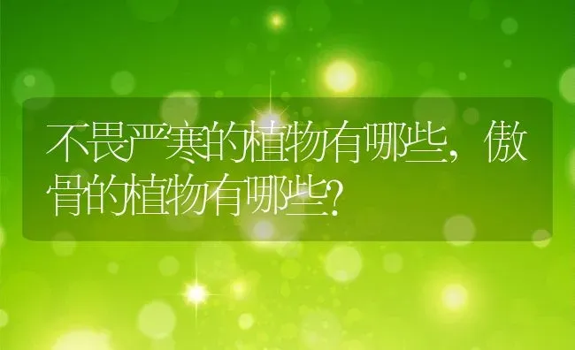 不畏严寒的植物有哪些,傲骨的植物有哪些？ | 养殖科普