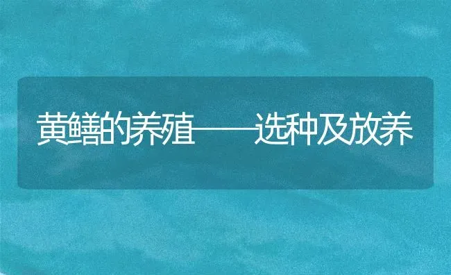 黄鳝的养殖──选种及放养 | 养殖技术大全