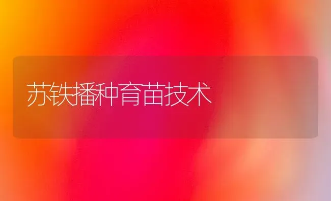 苏铁播种育苗技术 | 养殖技术大全