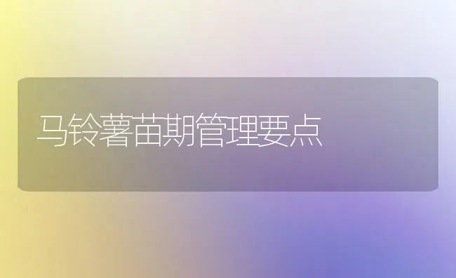 提高大棚温度的六种方法 | 养殖技术大全