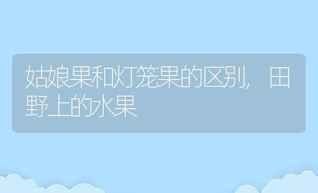 姑娘果和灯笼果的区别,田野上的水果 | 养殖学堂