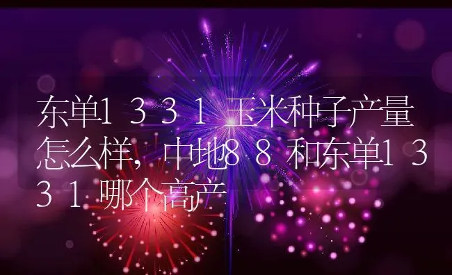 东单1331玉米种子产量怎么样,中地88和东单1331哪个高产 | 养殖学堂