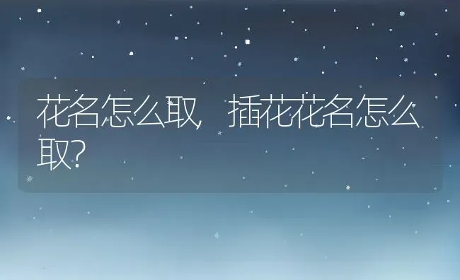花名怎么取,插花花名怎么取？ | 养殖学堂