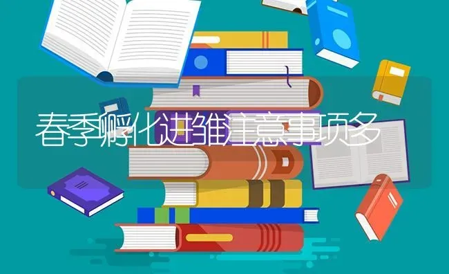 春季孵化进雏注意事项多 | 养殖技术大全