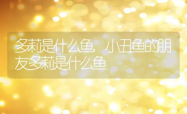 多莉是什么鱼,小丑鱼的朋友多莉是什么鱼 | 养殖资料