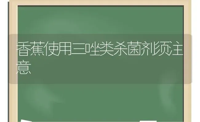 香蕉使用三唑类杀菌剂须注意 | 养殖技术大全