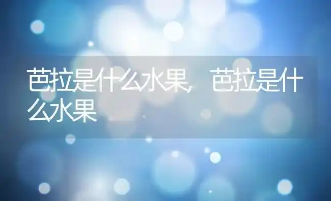 芭拉是什么水果,芭拉是什么水果 | 养殖科普