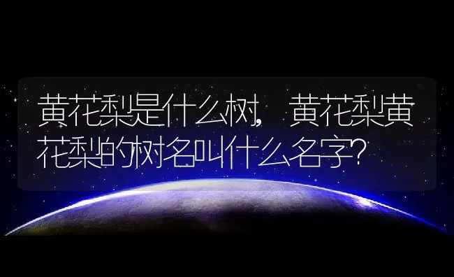 黄花梨是什么树,黄花梨黄花梨的树名叫什么名字？ | 养殖科普