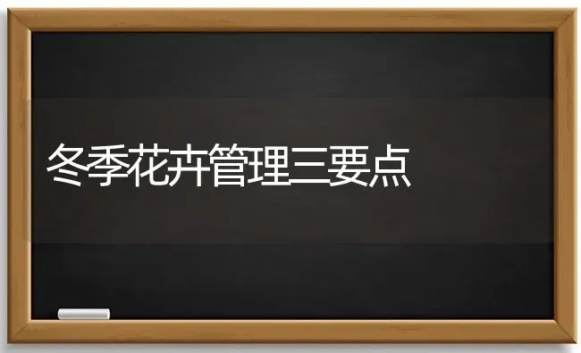 冬季花卉管理三要点 | 养殖技术大全