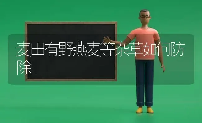 麦田有野燕麦等杂草如何防除 | 养殖知识