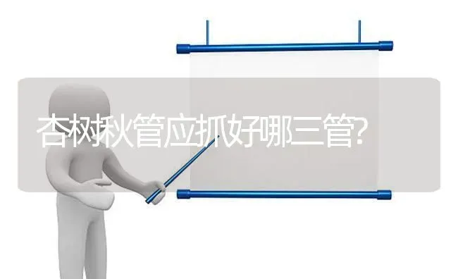 杏树秋管应抓好哪三管? | 养殖知识