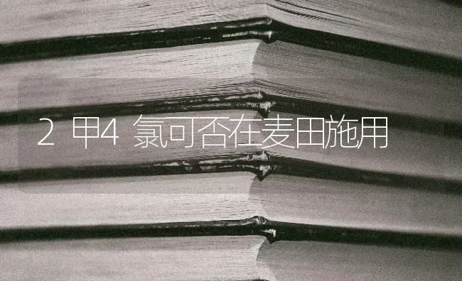 2甲4氯可否在麦田施用 | 养殖知识