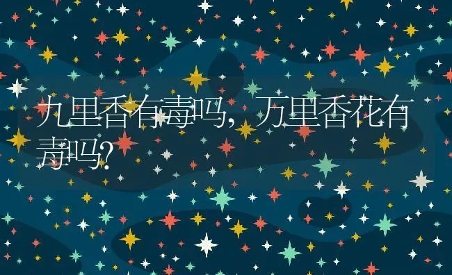 九里香有毒吗,万里香花有毒吗？ | 养殖科普