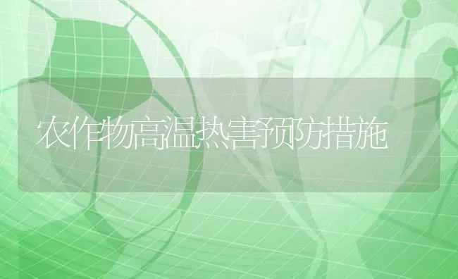 农作物高温热害预防措施 | 养殖技术大全