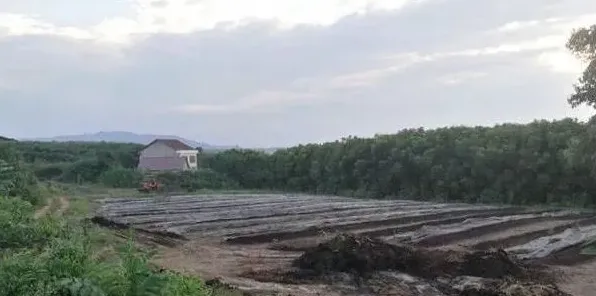 蚯蚓规模化关键养殖技术介绍 | 生活常识