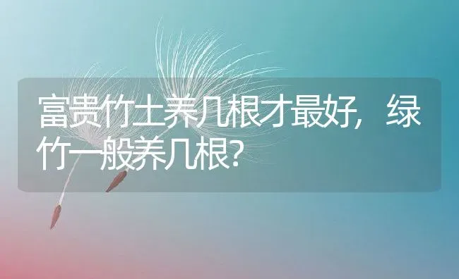 富贵竹土养几根才最好,绿竹一般养几根？ | 养殖科普