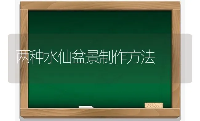 两种水仙盆景制作方法 | 养殖知识