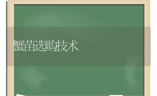 蟹苗选购技术 | 养殖知识