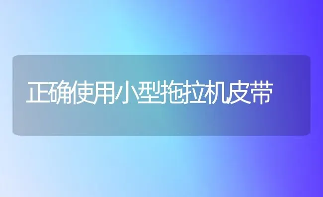 正确使用小型拖拉机皮带 | 养殖技术大全