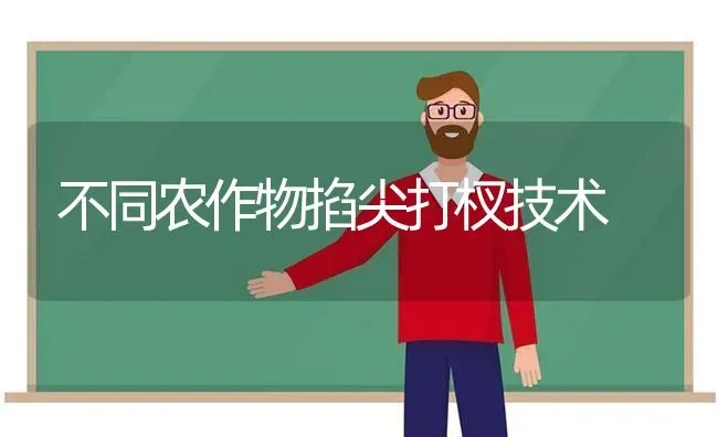 不同农作物掐尖打杈技术 | 养殖技术大全