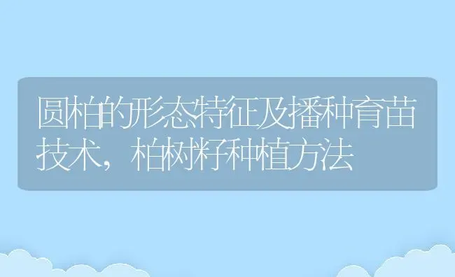 圆柏的形态特征及播种育苗技术,柏树籽种植方法 | 养殖学堂