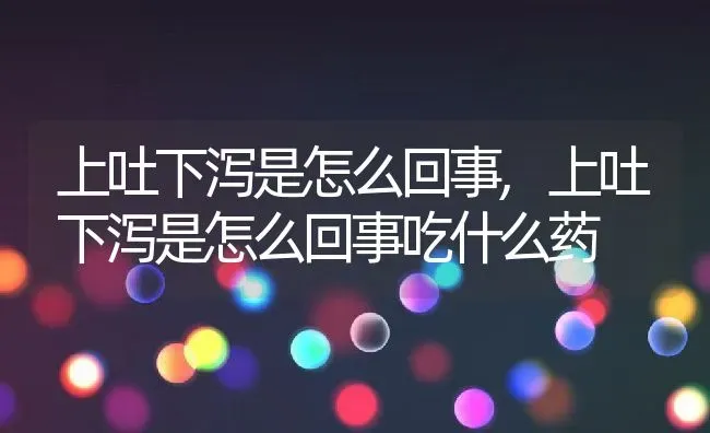 上吐下泻是怎么回事,上吐下泻是怎么回事吃什么药 | 养殖科普