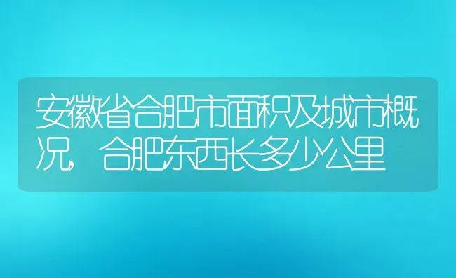 安徽省合肥市面积及城市概况,合肥东西长多少公里 | 养殖学堂
