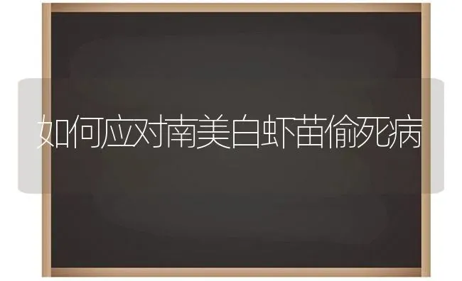 如何应对南美白虾苗偷死病 | 养殖技术大全