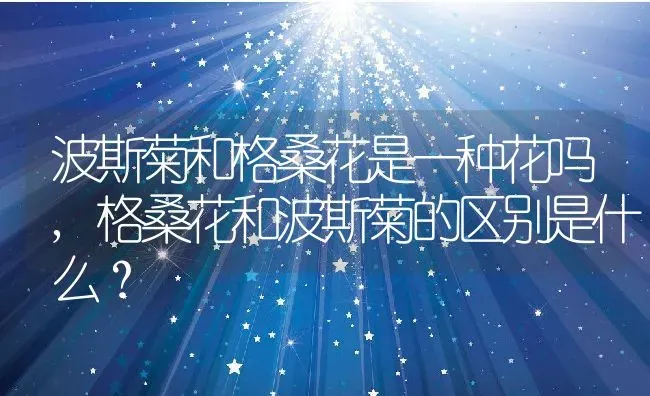 波斯菊和格桑花是一种花吗,格桑花和波斯菊的区别是什么？ | 养殖科普