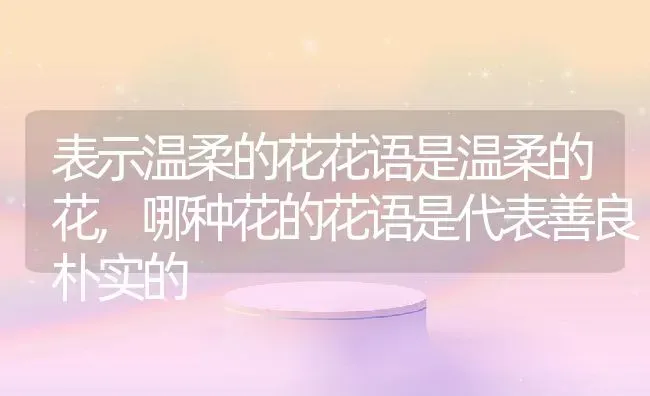 表示温柔的花花语是温柔的花,哪种花的花语是代表善良朴实的 | 养殖学堂