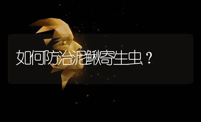 如何防治泥鳅寄生虫? | 养殖知识