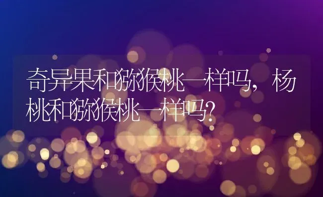 奇异果和猕猴桃一样吗,杨桃和猕猴桃一样吗？ | 养殖科普