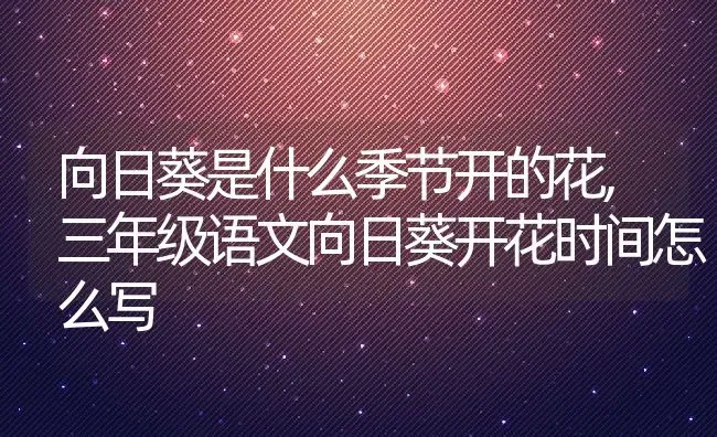 向日葵是什么季节开的花,三年级语文向日葵开花时间怎么写 | 养殖学堂