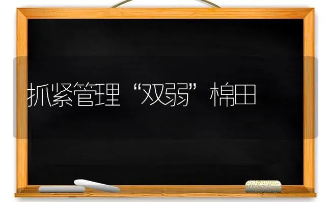 抓紧管理“双弱”棉田 | 养殖知识