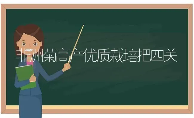 非洲菊高产优质栽培把四关 | 养殖技术大全